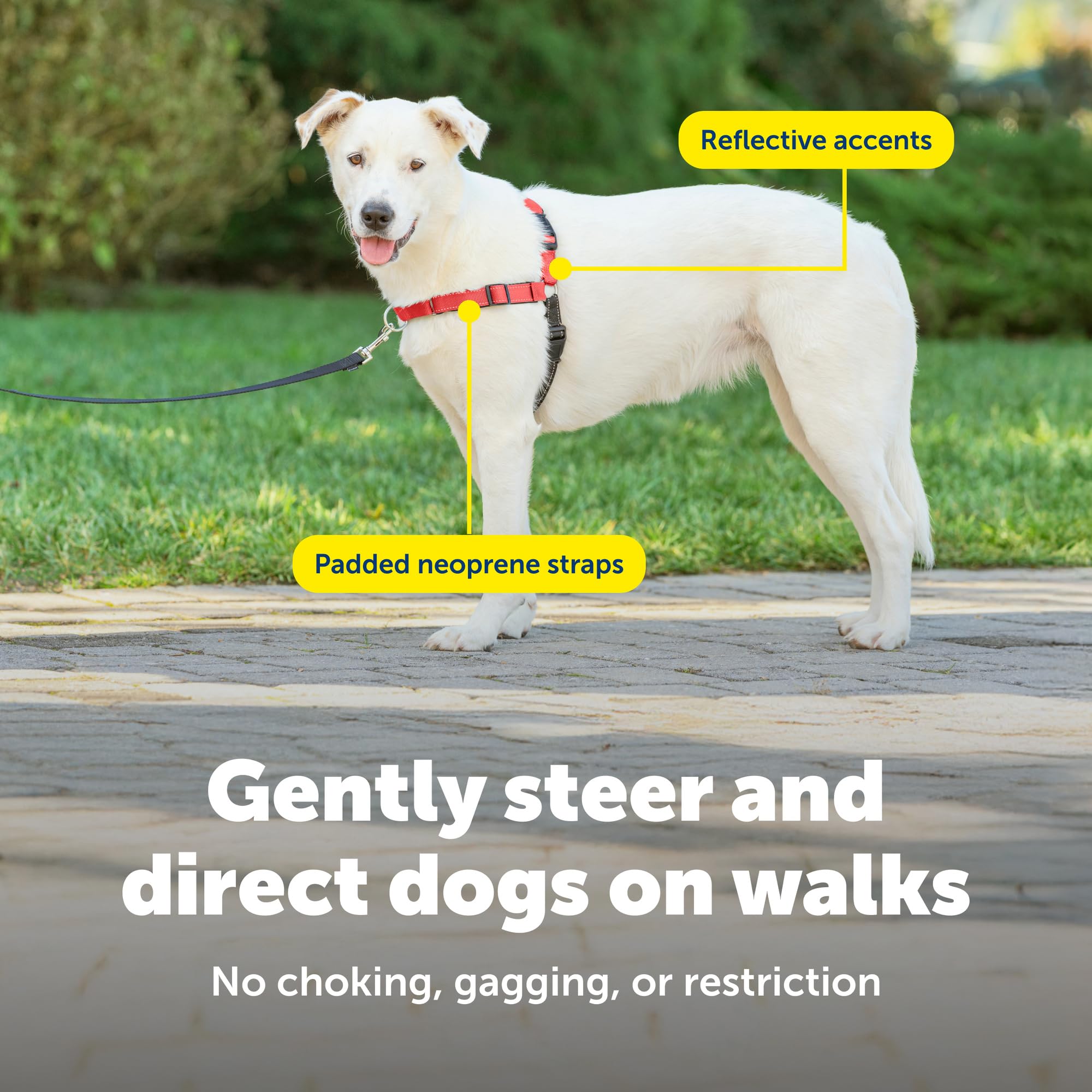 Cierre rápido en el hombro PetSafe Deluxe Easy Walk para ponérselo fácilmente.