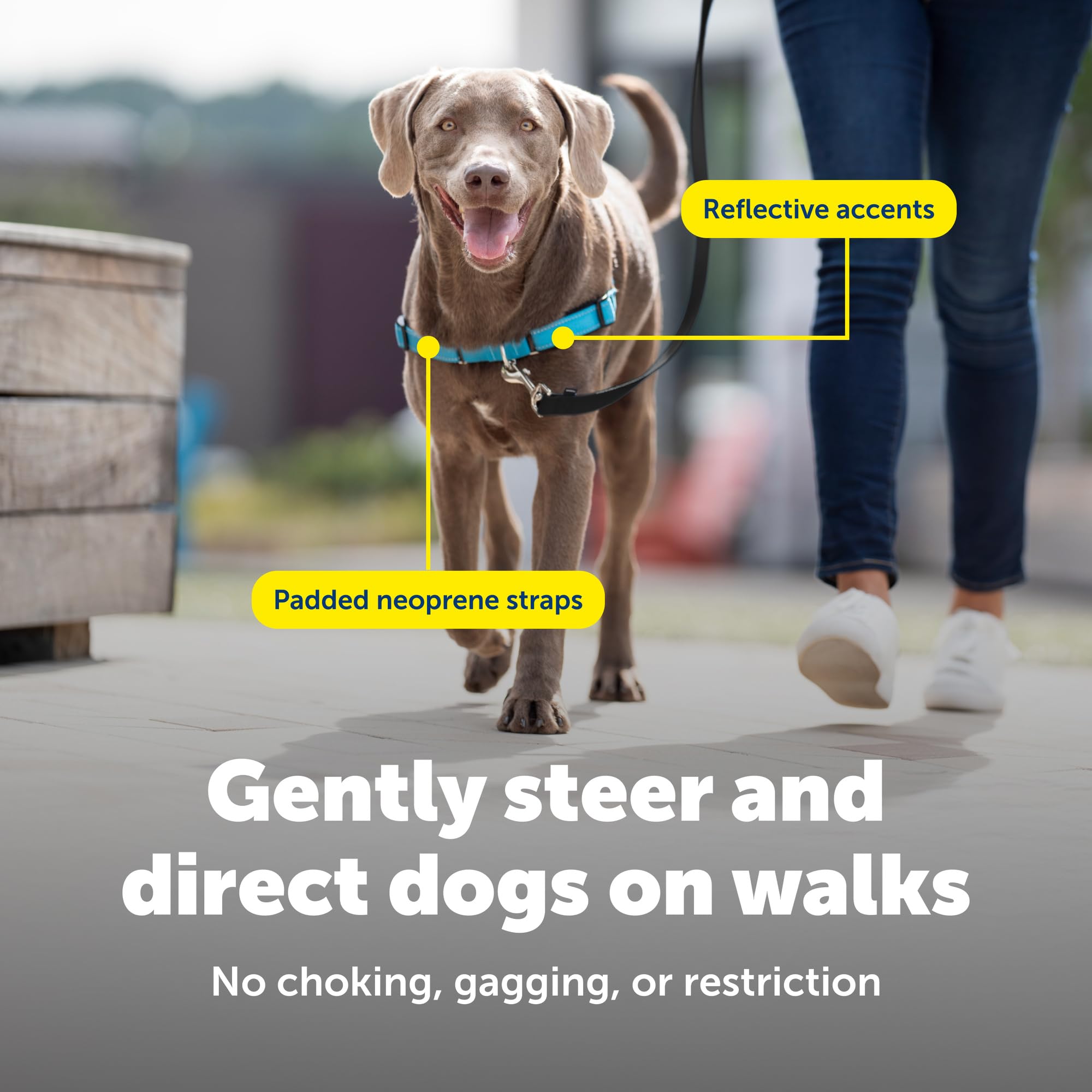 PetSafe Deluxe Easy Walk, asa de control para paseos más seguros.