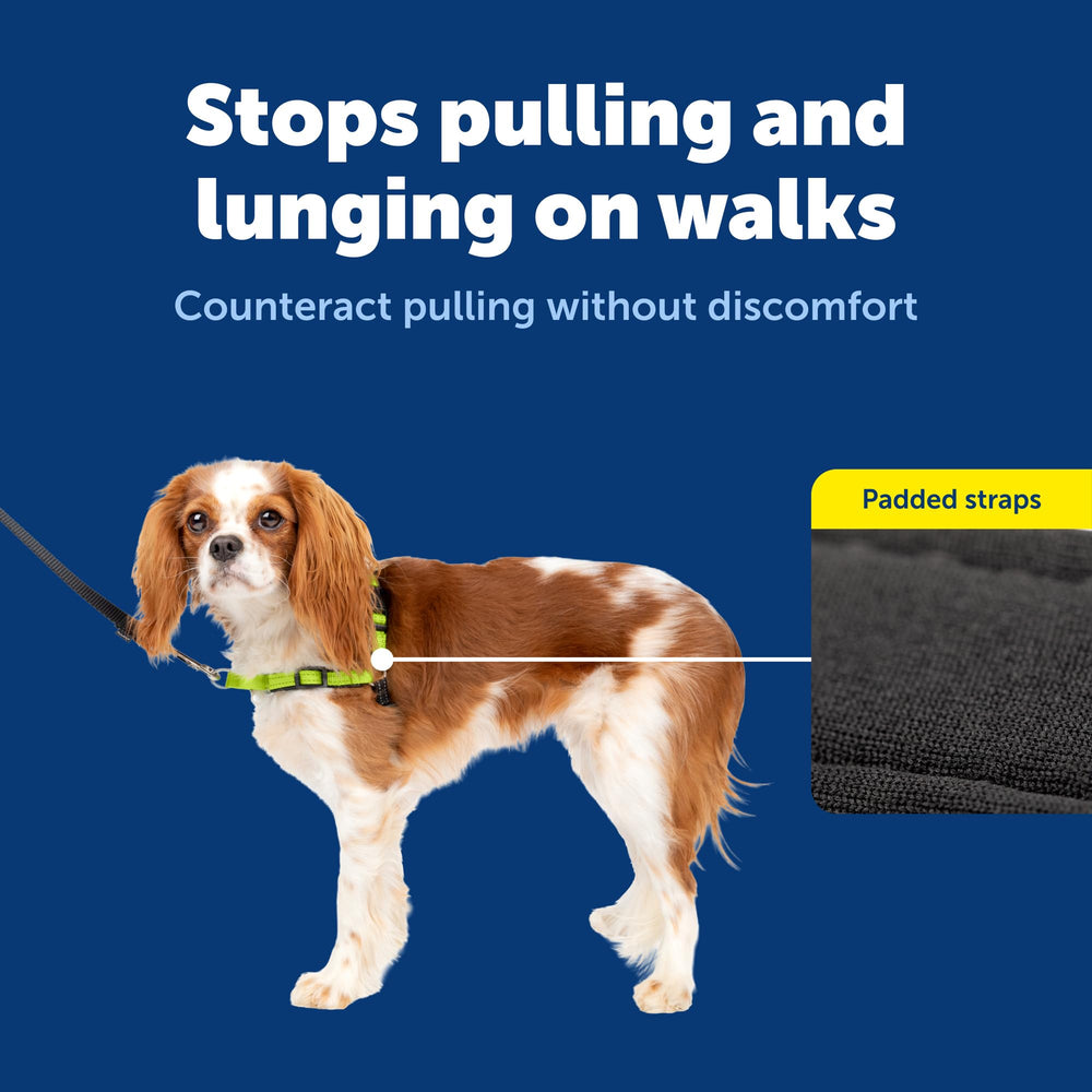 PetSafe Deluxe Easy Walk Harness bandas ventiladas: ajuste cómodo con correas acolchadas.