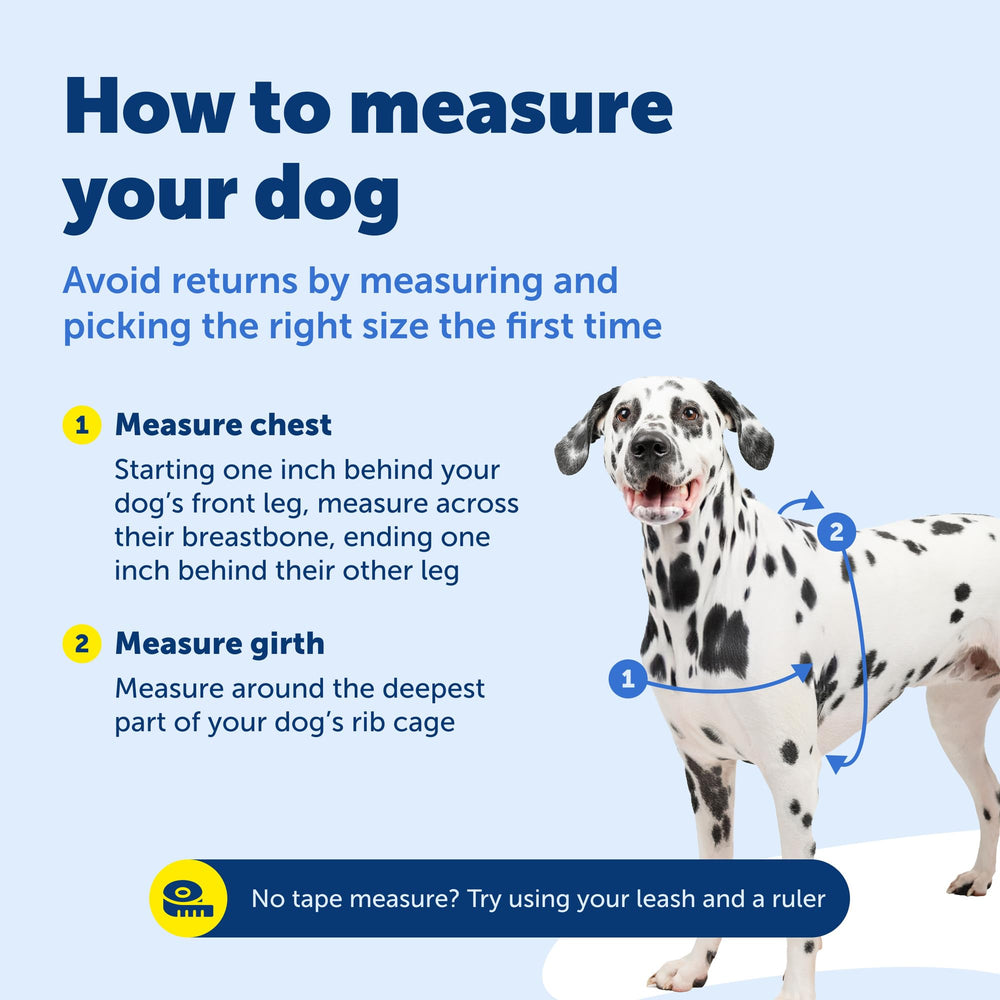PetSafe Deluxe Easy Walk manija-control, control adicional en paseos