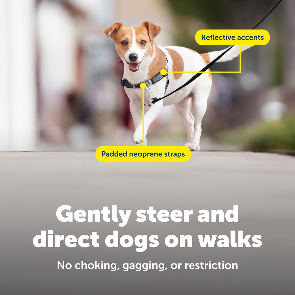 PetSafe sistema anti-tiro para dirigir sin tirar