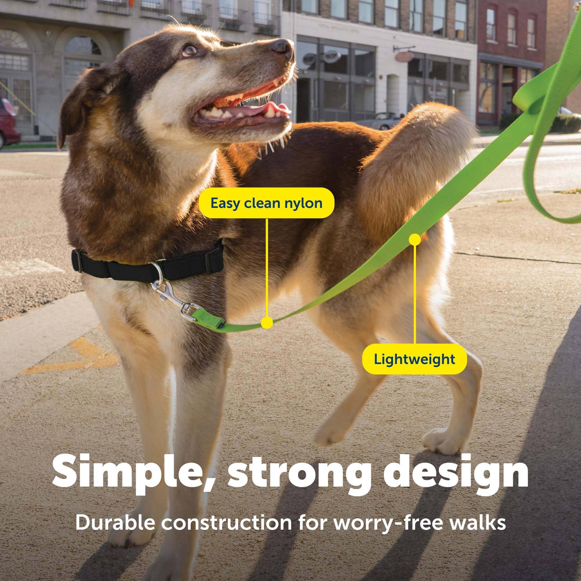 PetSafe detalle evita enredos y facilita paseos