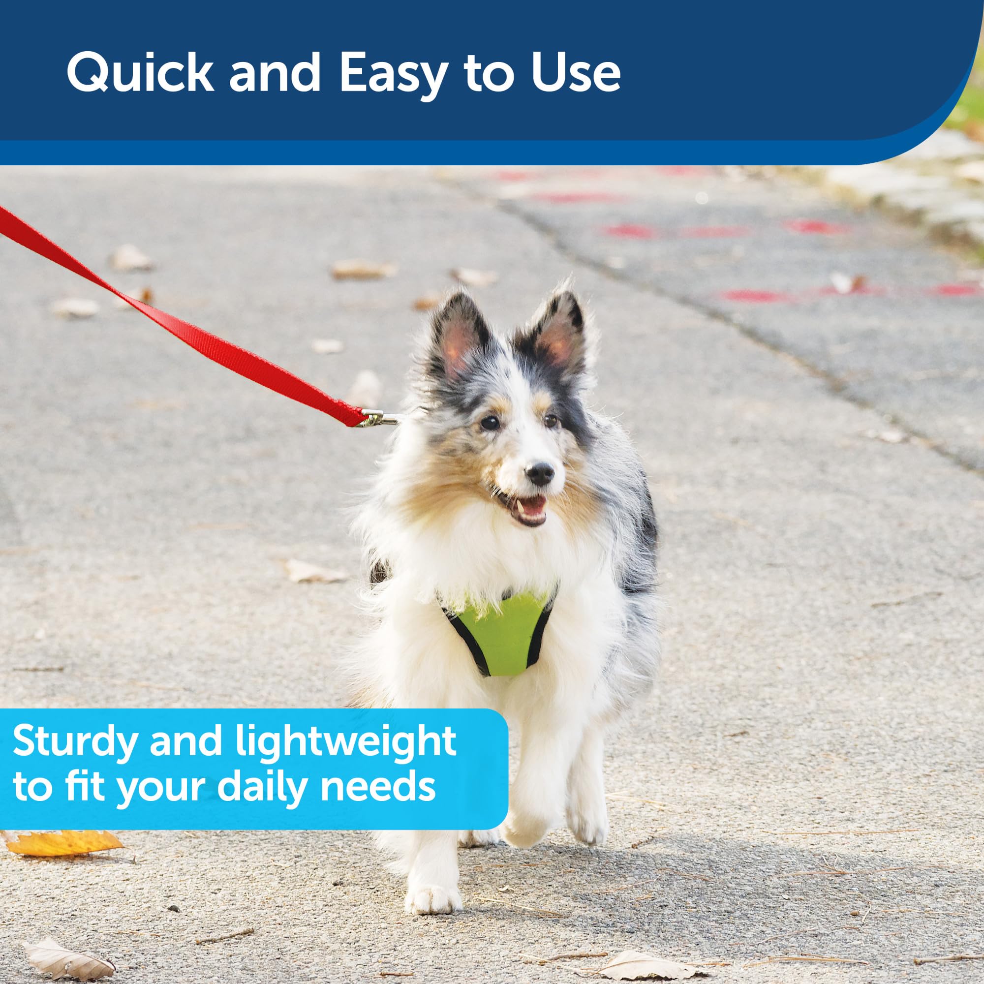 PetSafe diseño clásico de nylon, resistente para caminatas al aire libre.