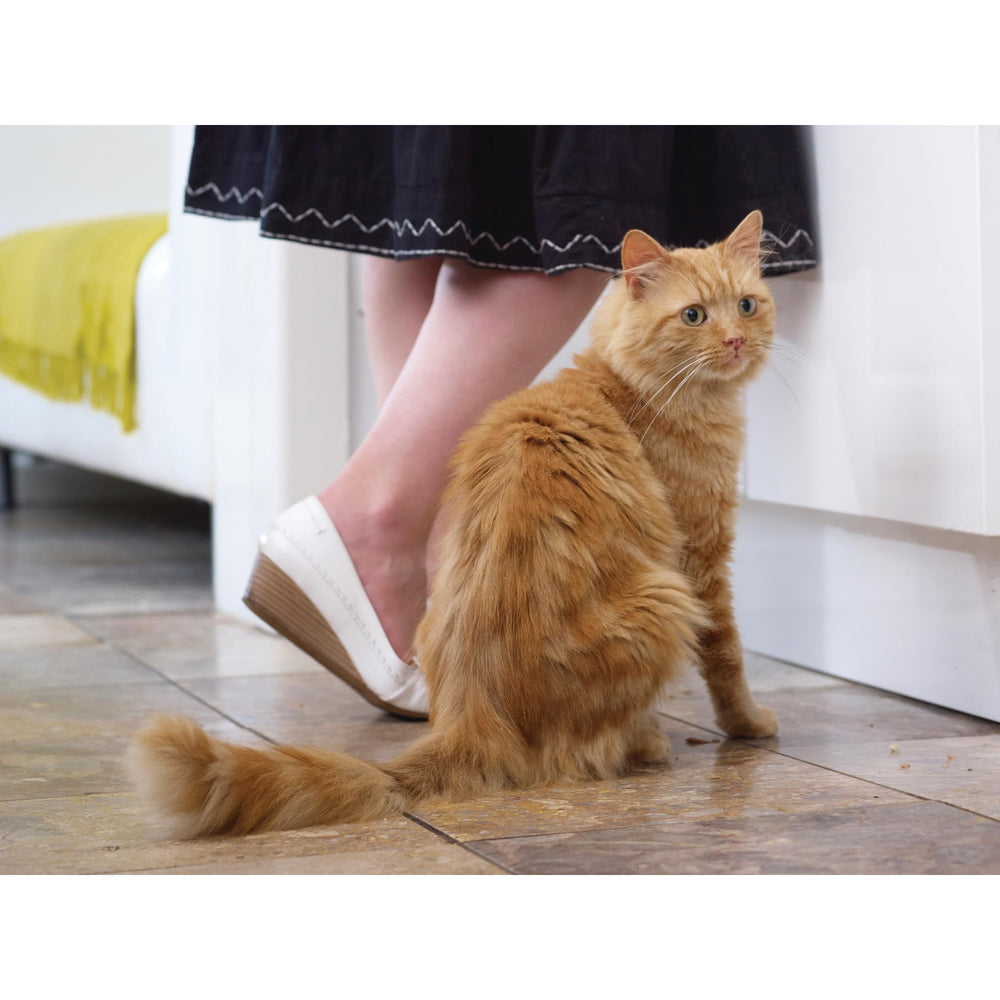 PetSafe: diseño ligero y cómodo para collar magnético.