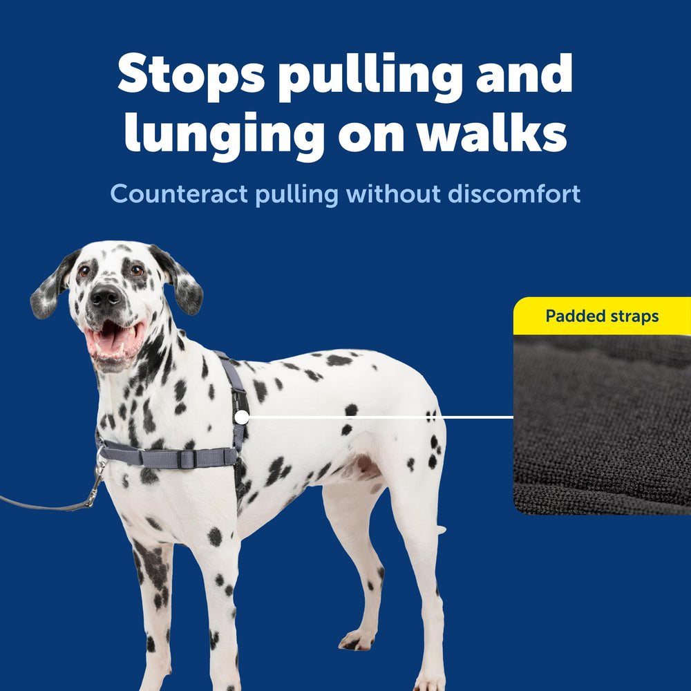 PetSafe Arnés Fácil Paseo con diseño martingala frontal para guiar sin tirones.