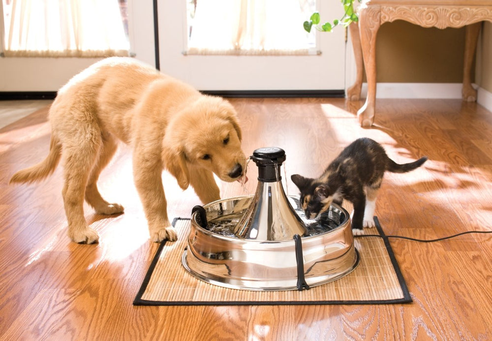 Petsafe Drinkwell 360, acero inoxidable resistente para uso diario en casa.