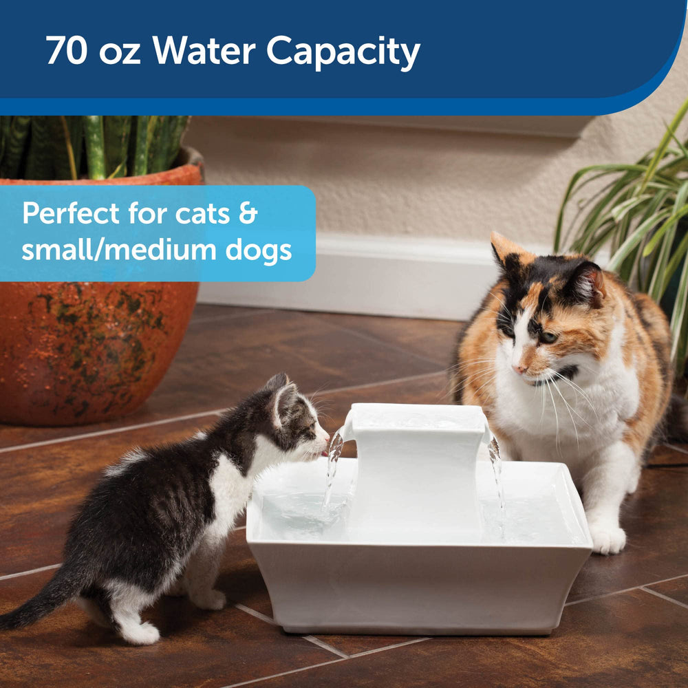 PetSafe Drinkwell Pagoda, cerámica resistente, facilita limpieza y desinfección.