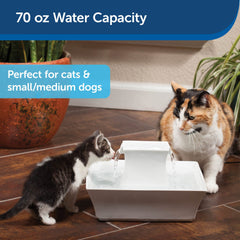 PetSafe Drinkwell Pagoda, cerámica resistente, facilita limpieza y desinfección.