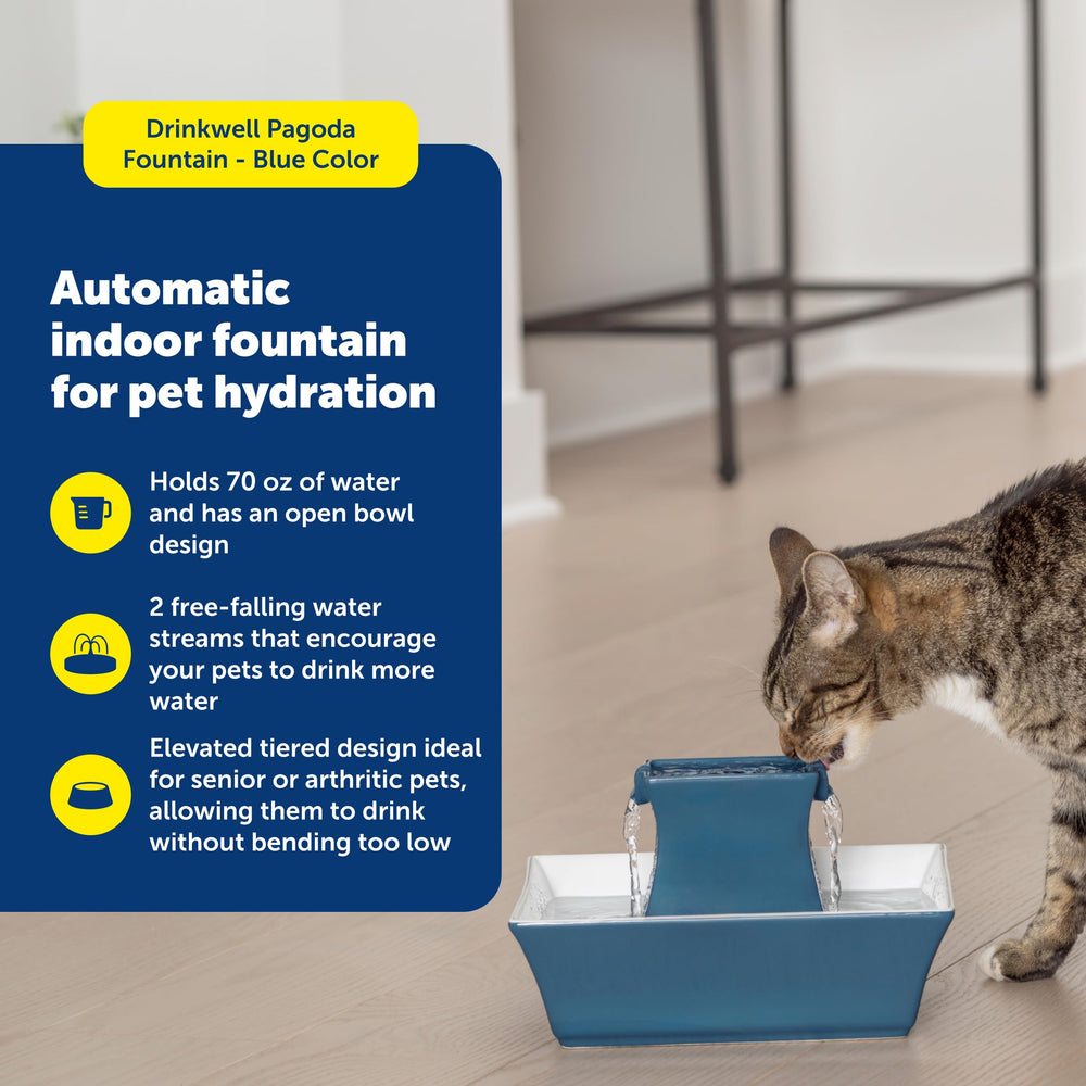 PetSafe Drinkwell Pagoda flujo continuo que anima a beber a tus mascotas.
