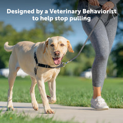 PetSafe Easy Walk: anclaje frontal de la correa para control