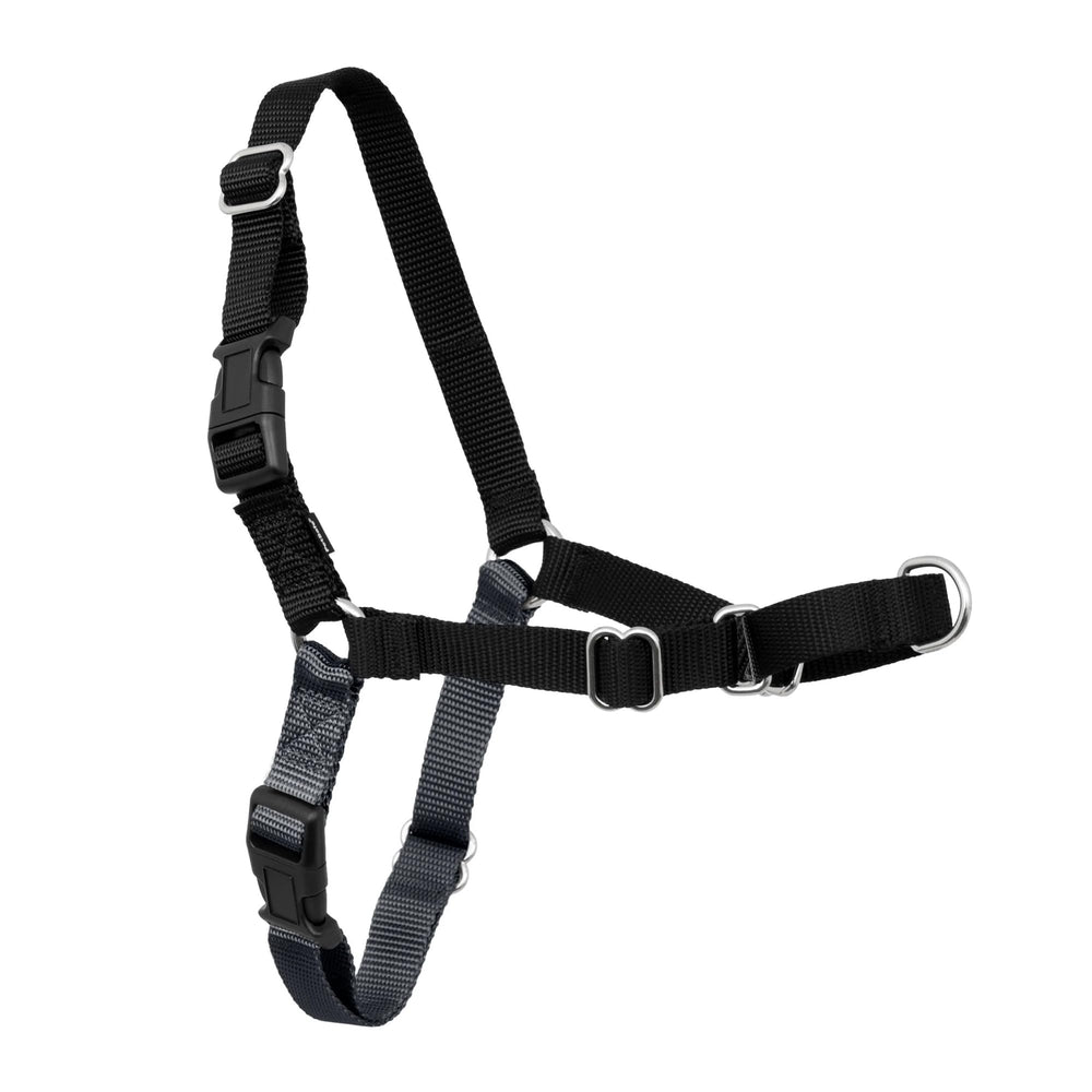 PetSafe Easy Walk arnés frontal frente sin tirones para paseos más controlados.