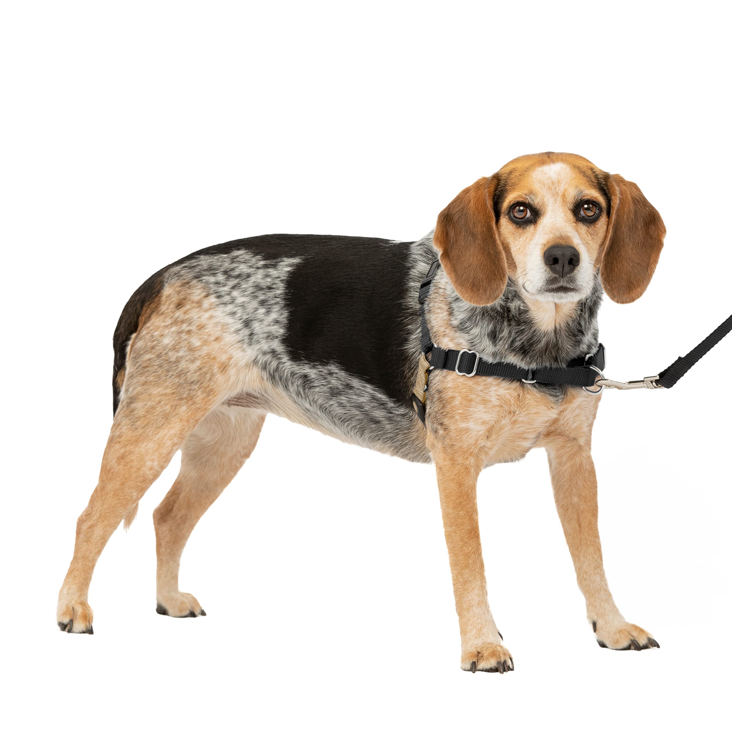 PetSafe Easy Walk: arnés frontal para reducir tirones durante paseos