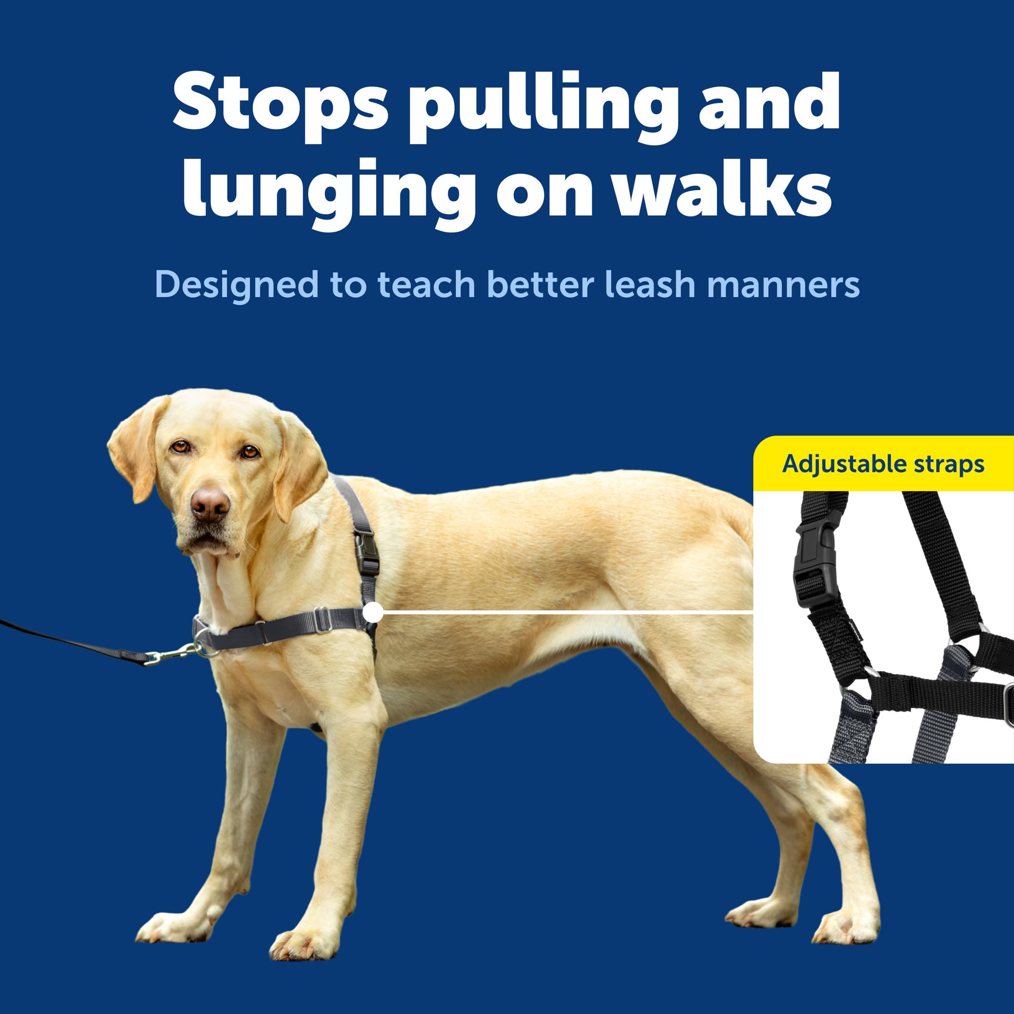 PetSafe Easy Walk vista espalda, correa de ajuste cómodo.