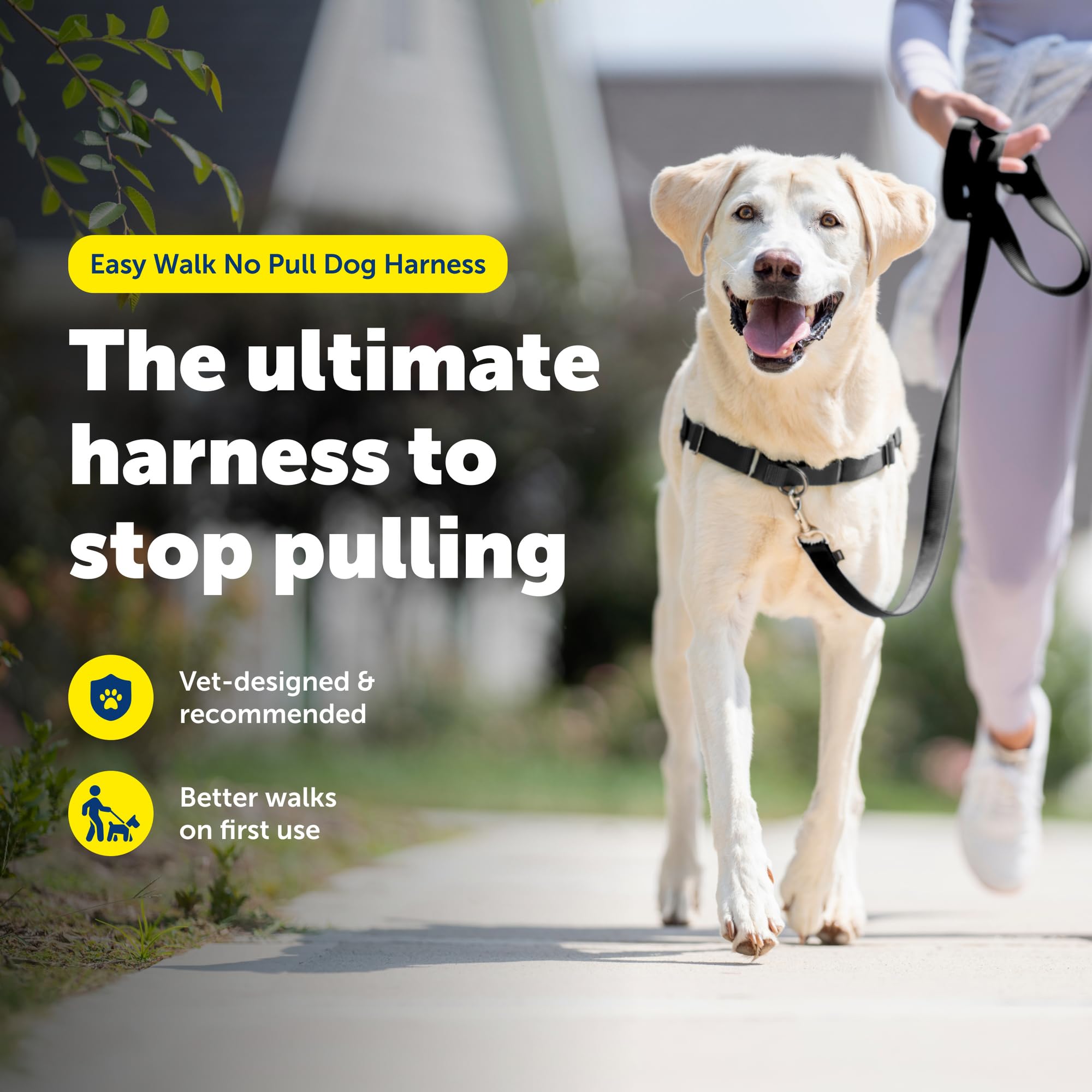 PetSafe Easy Walk arnés pecho visible, diseño frontal para dirigir sin tirones.