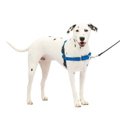PetSafe Easy Walk arnés frontal sin tirones para paseos más controlados.