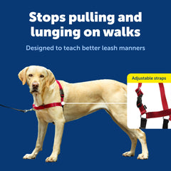 PetSafe Easy Walk arnés transpirable para mantener al perro fresco
