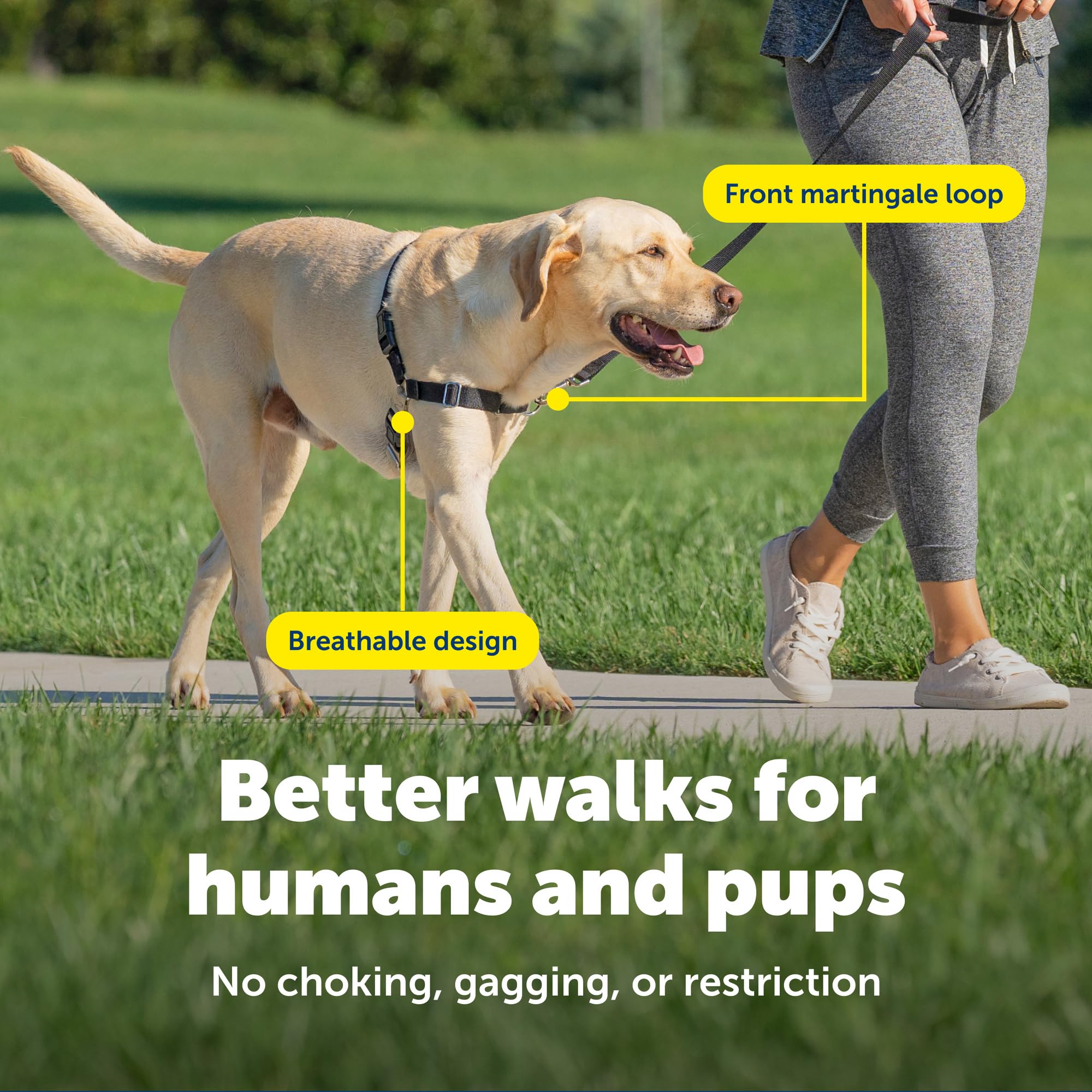 Banda ventral de color codificado en PetSafe Easy Walk para colocación rápida.