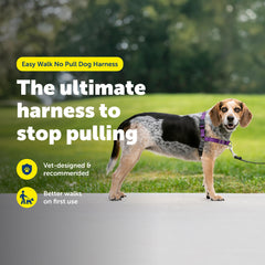 PetSafe Easy Walk bandas de ajuste confort para ajuste personalizado.