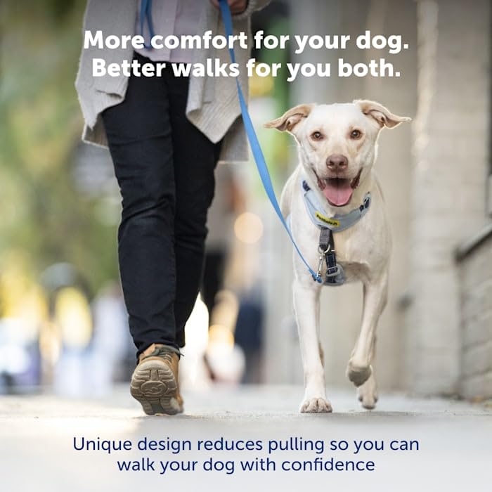 PetSafe Easy Walk: borde reflectante para paseos nocturnos y seguros