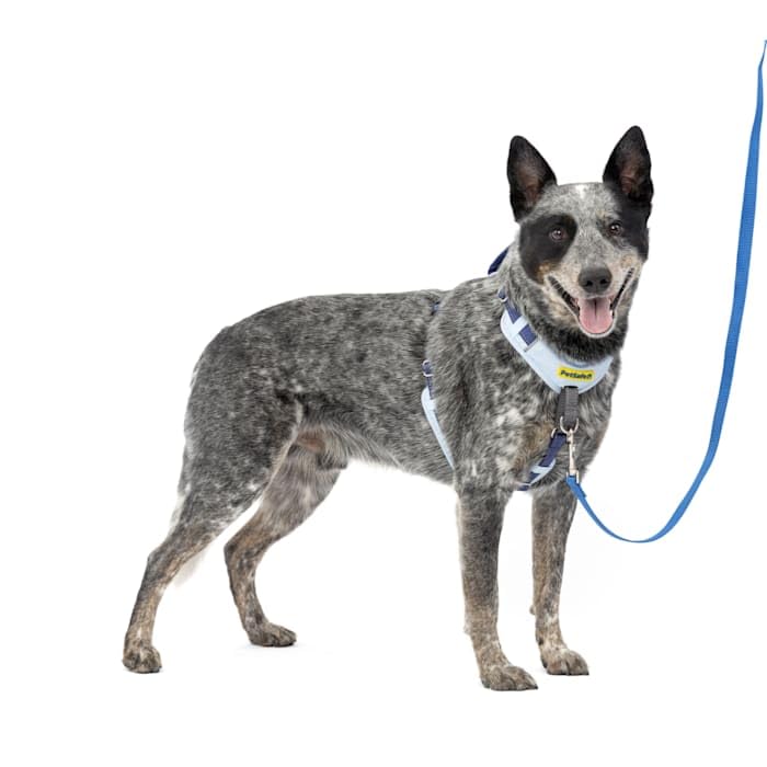 PetSafe Easy Walk: arnés frontal azul para entrenamiento sin tirones