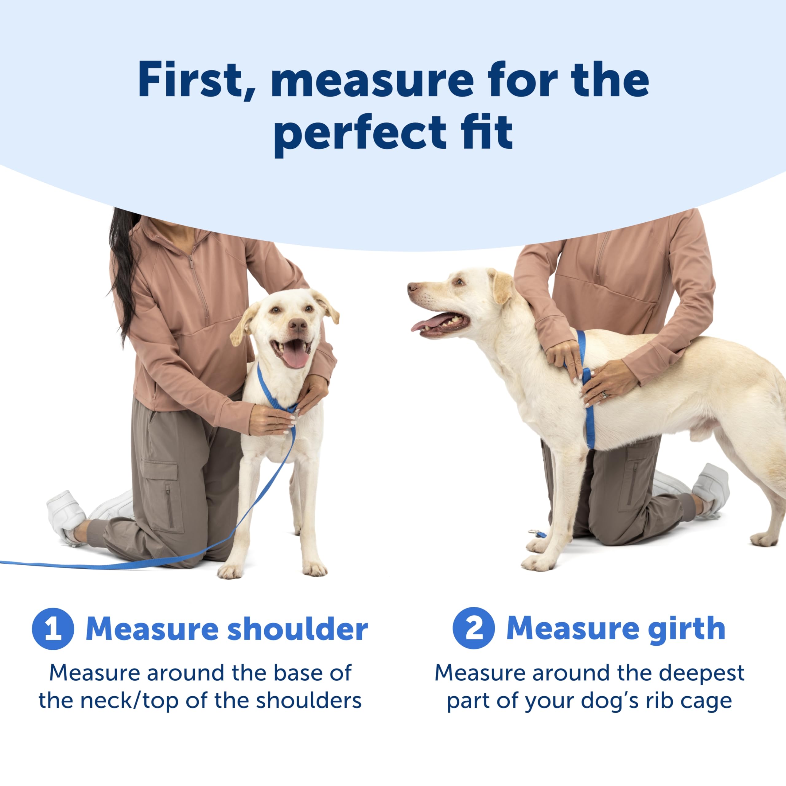 PetSafe Easy Walk Comfort Harness manija ergonómica, control rápido al detener o guiar.