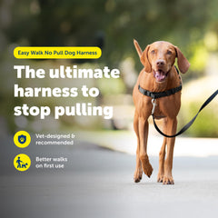 PetSafe Easy Walk: correas con ajuste de confort para un ajuste seguro.
