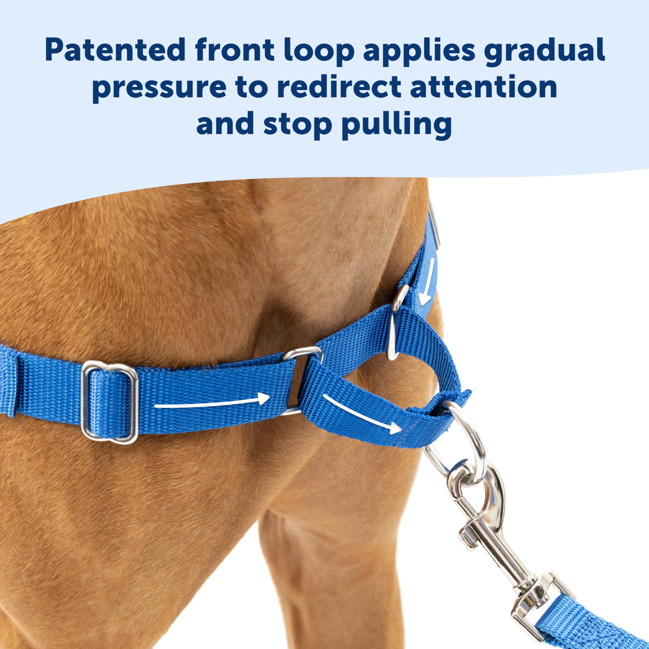 PetSafe Easy Walk: correas ajustables para ajuste cómodo