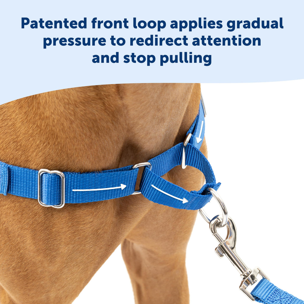 PetSafe Easy Walk: correas ajustables para ajuste cómodo