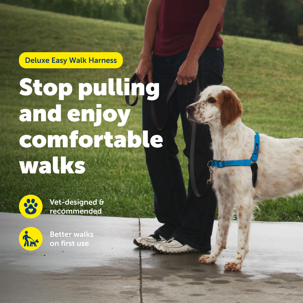 PetSafe Easy Walk Deluxe con ajuste rápido para calzar en segundos