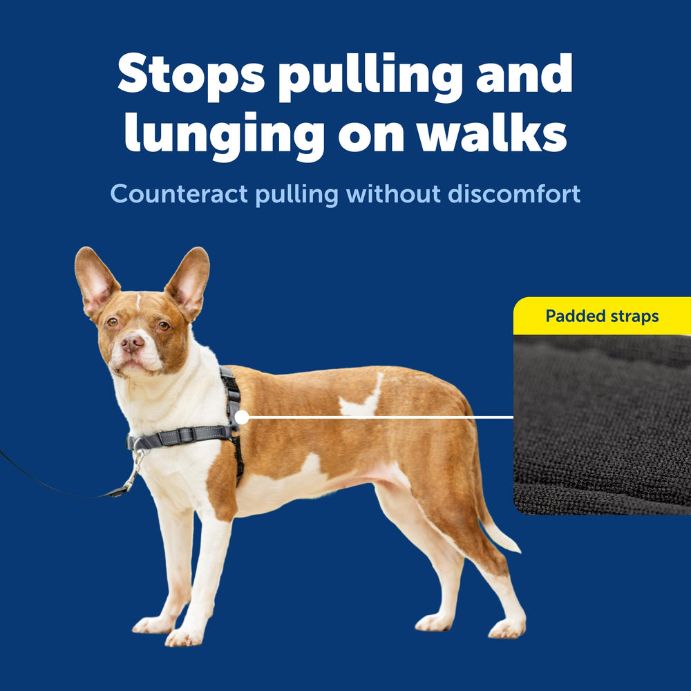 PetSafe Easy Walk Deluxe: control de tirones seguro sin dañar la garganta
