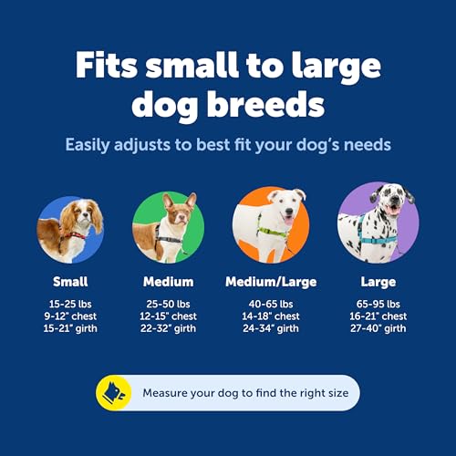 PetSafe Easy Walk Deluxe: cuidado posventa y asistencia rápida