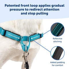 PetSafe Easy Walk Deluxe, reflectores nocturnos para mayor visibilidad en paseos