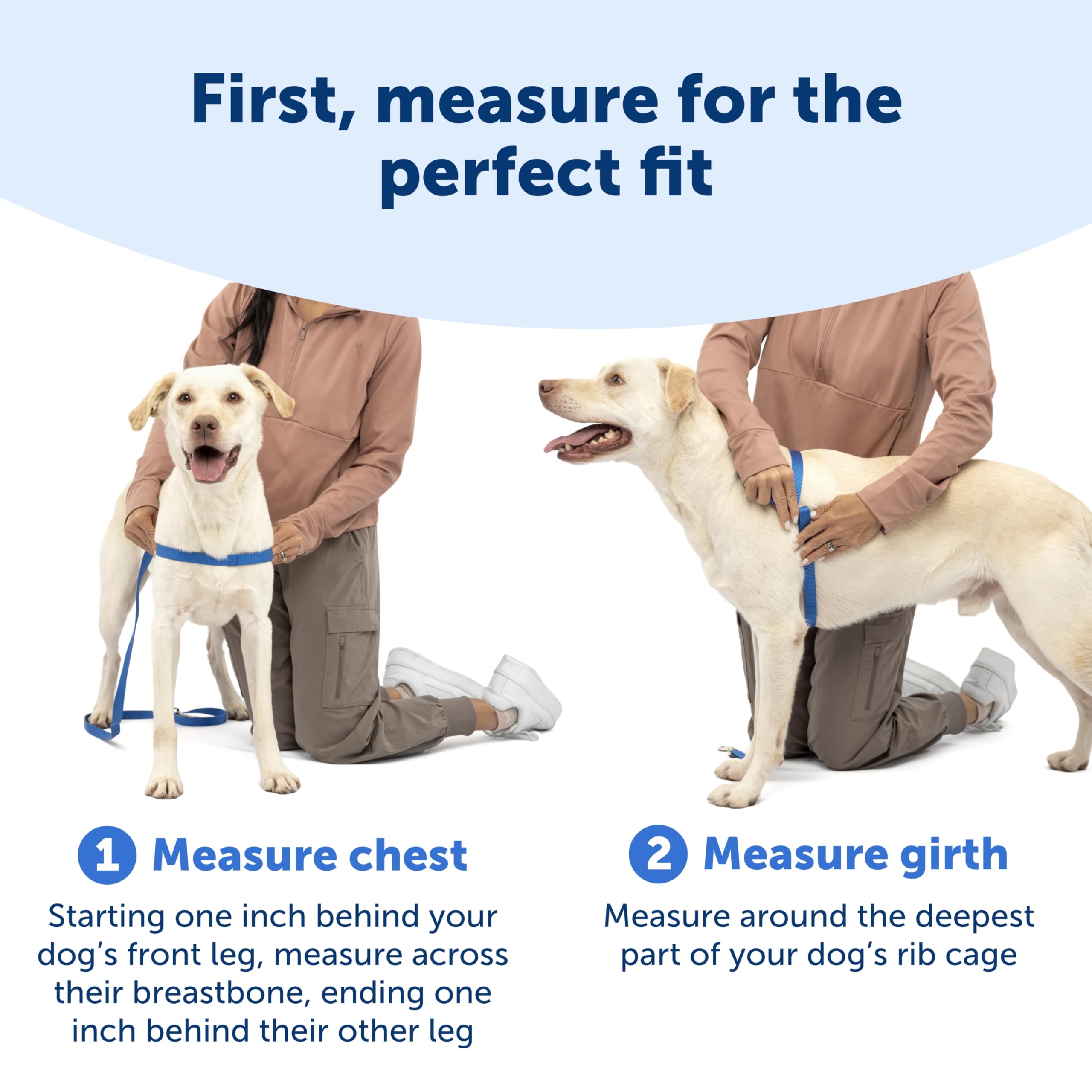 PetSafe Easy Walk diseño ligero para mayor comodidad en caminatas diarias.