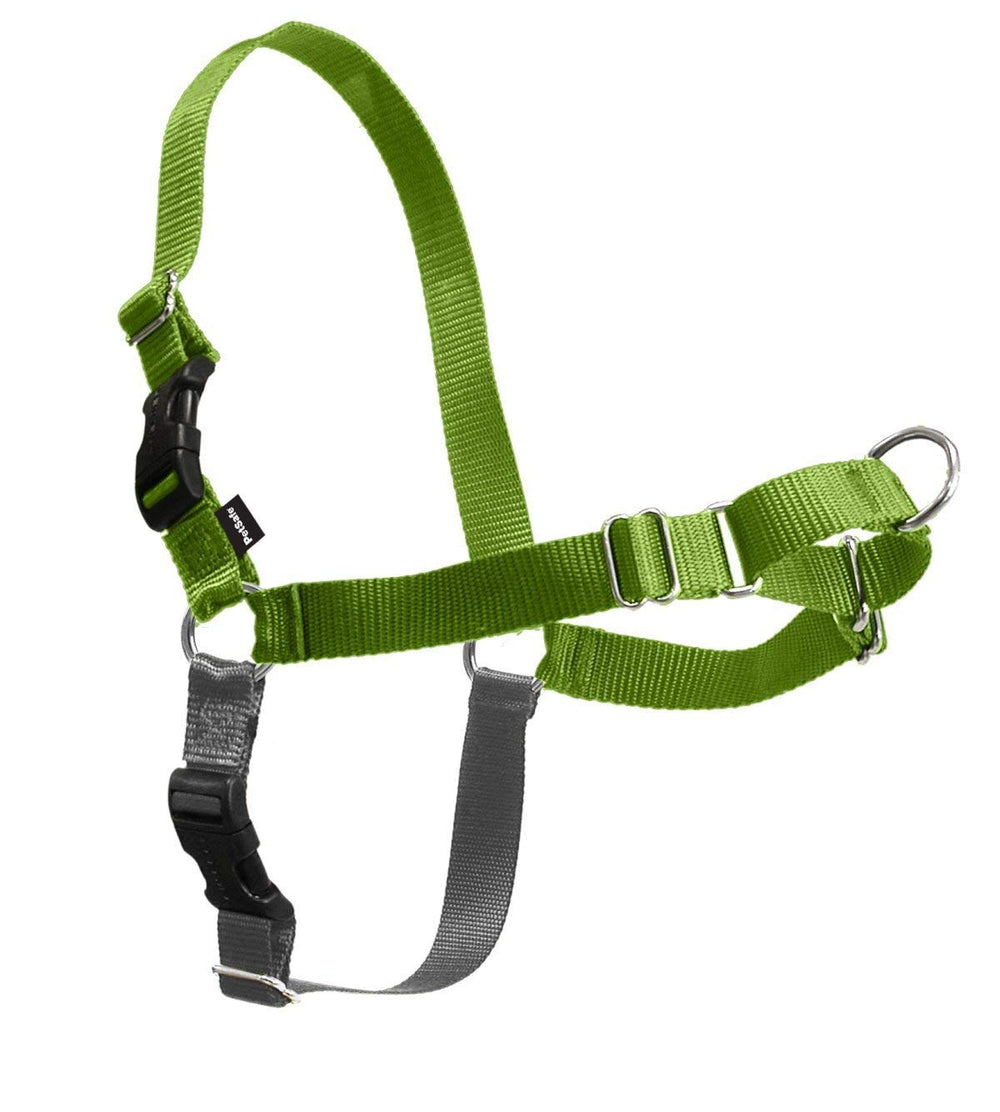 Enganche de correa delantera de PetSafe Easy Walk para guía natural.