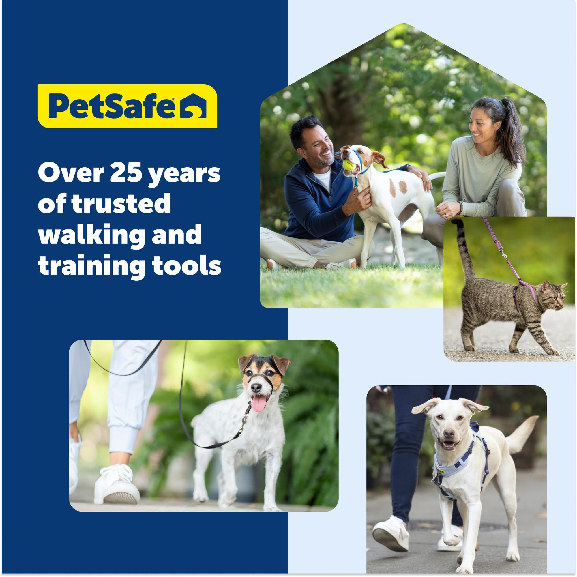 Uso diario de PetSafe Easy Walk para entrenamiento y paseos
