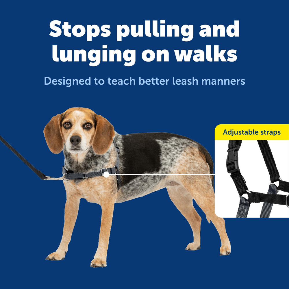 Arnés PetSafe Easy Walk, ajuste de confort para un ajuste personalizado