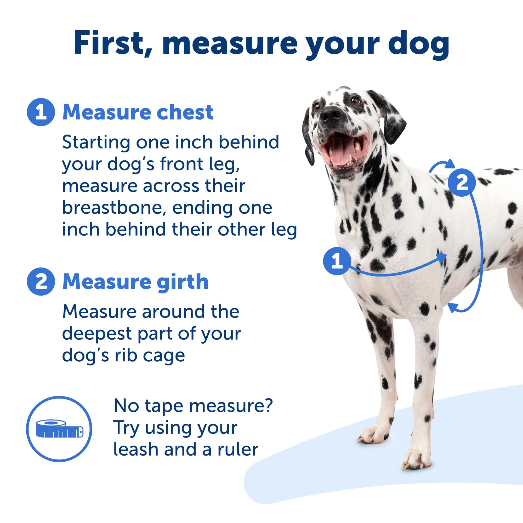 PetSafe Easy Walk Harness anilla delantera: guía suave durante entrenamientos