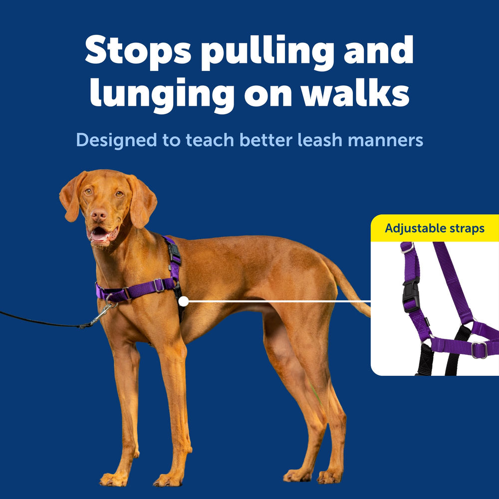 PetSafe Easy Walk Harness, correa frontal guía sin forzar la garganta.