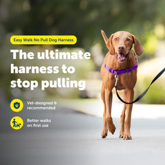PetSafe Easy Walk Harness, tejido transpirable y ligero para caminar más fresco.