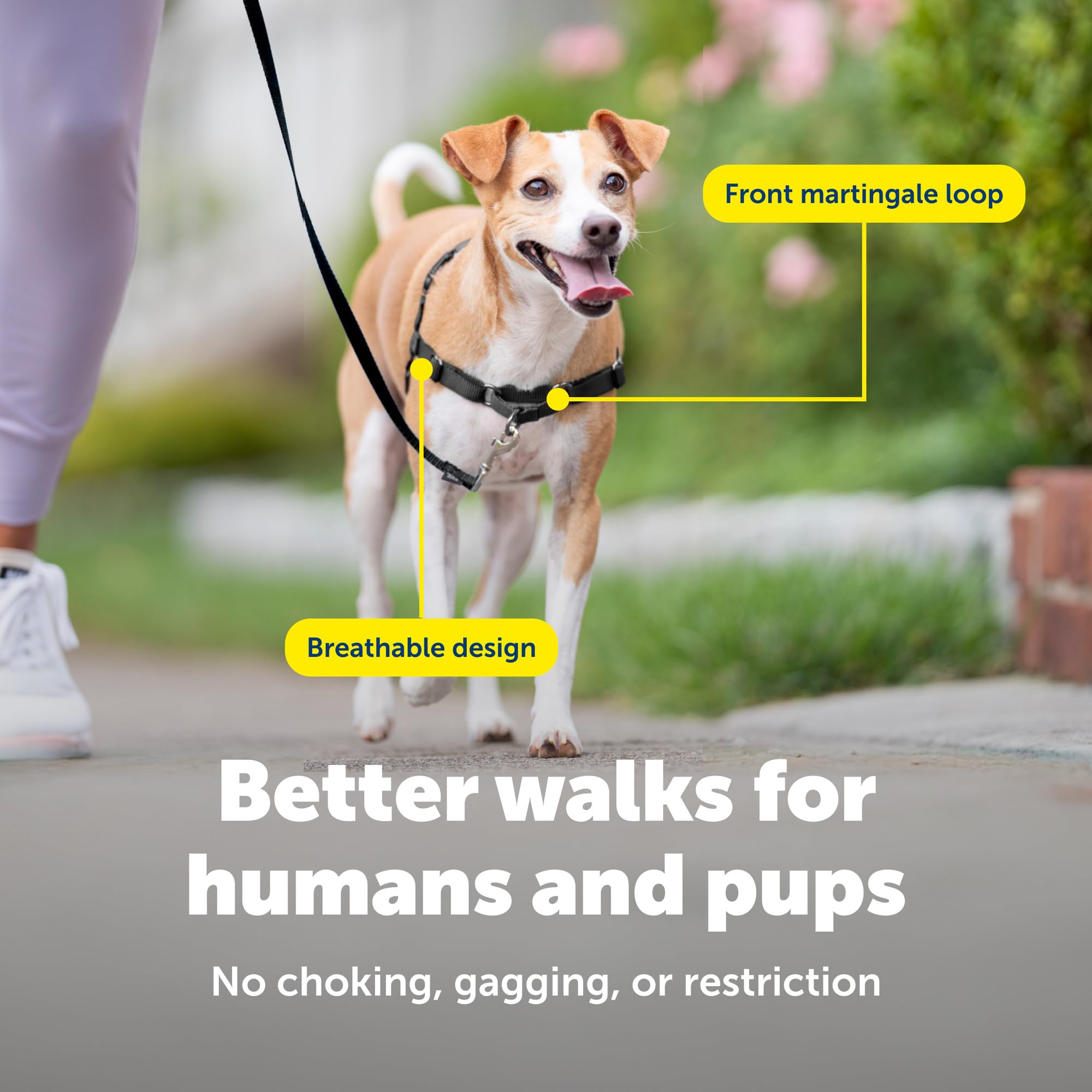 PetSafe Easy Walk hebillas hombro rápidas para colocar y quitar fácilmente