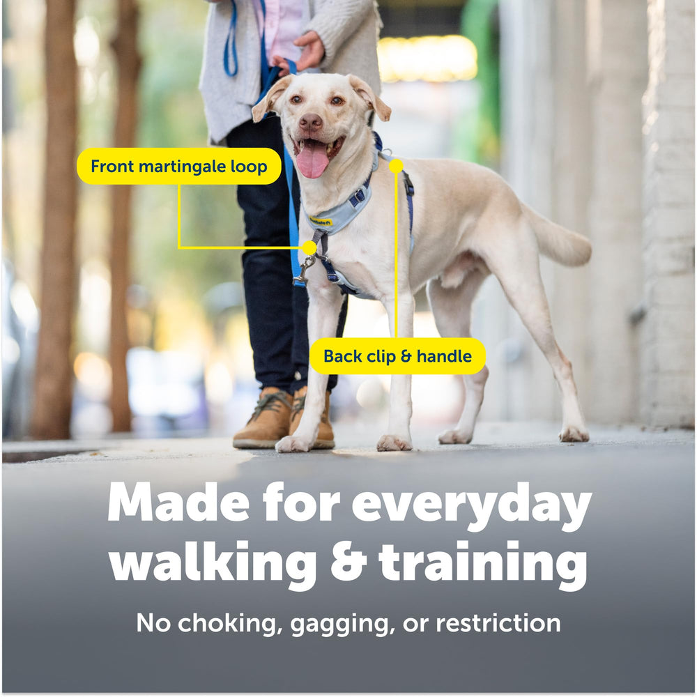 Hebillas rápidas de PetSafe Easy Walk para colocación sencilla