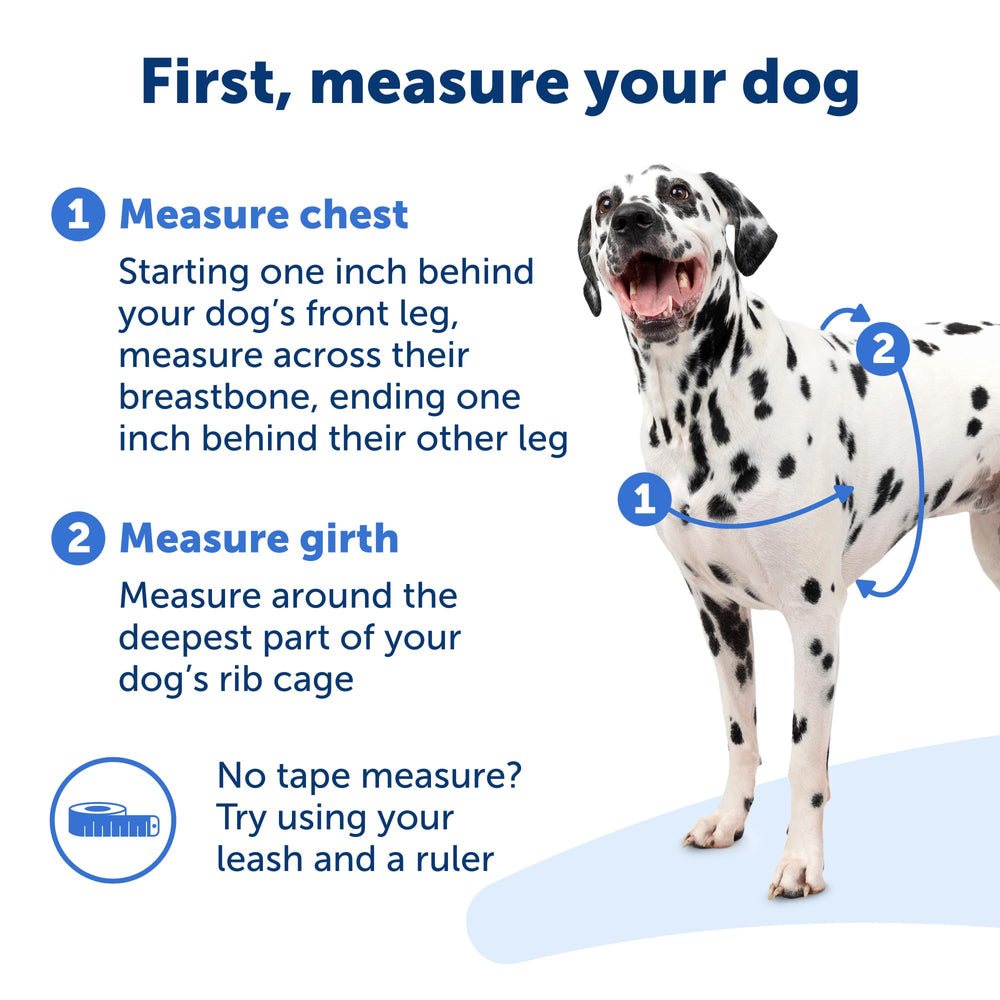 Tejido respirante del arnés PetSafe Easy Walk para comodidad en paseos largos.