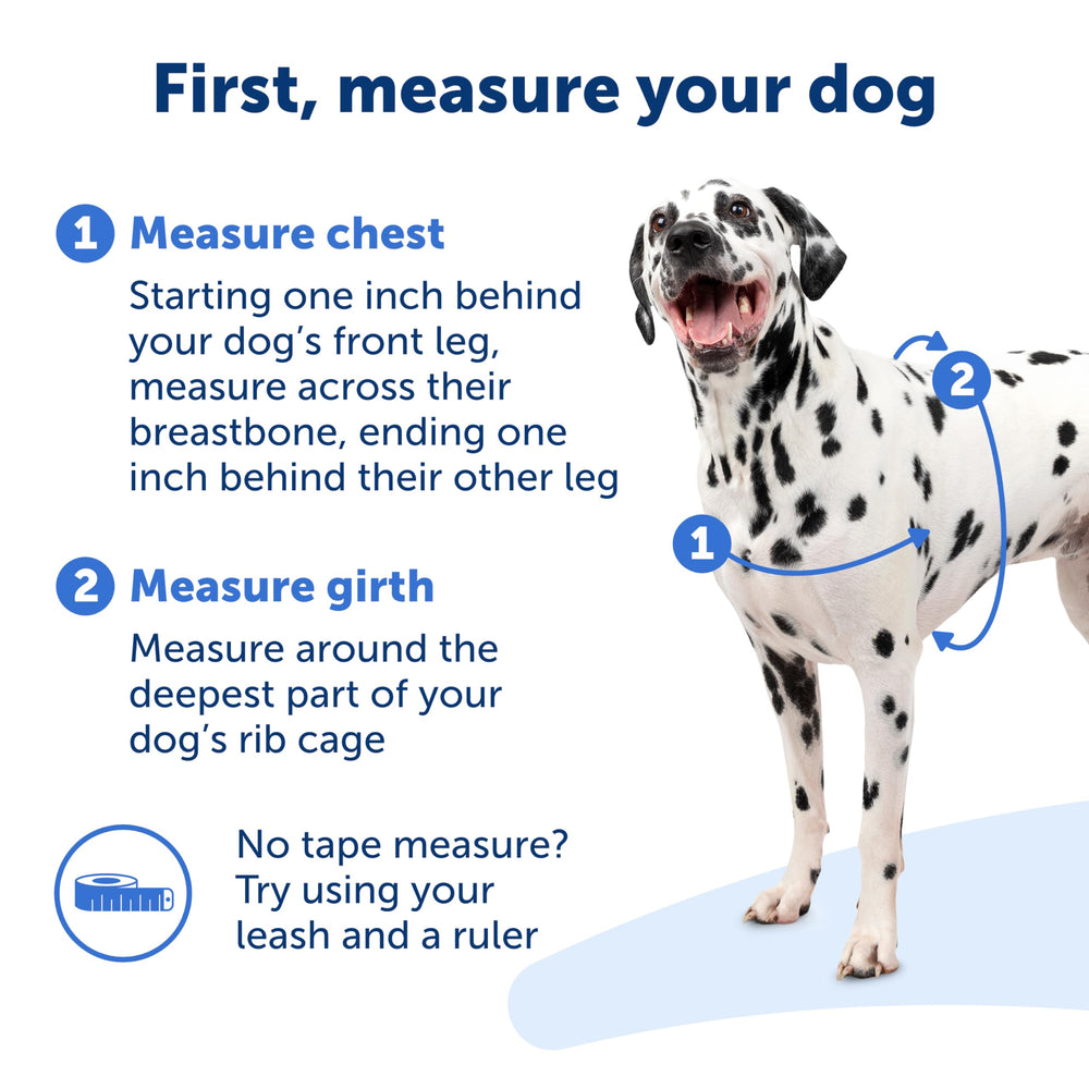 PetSafe Easy Walk: tejido transpirable para mantener al perro fresco