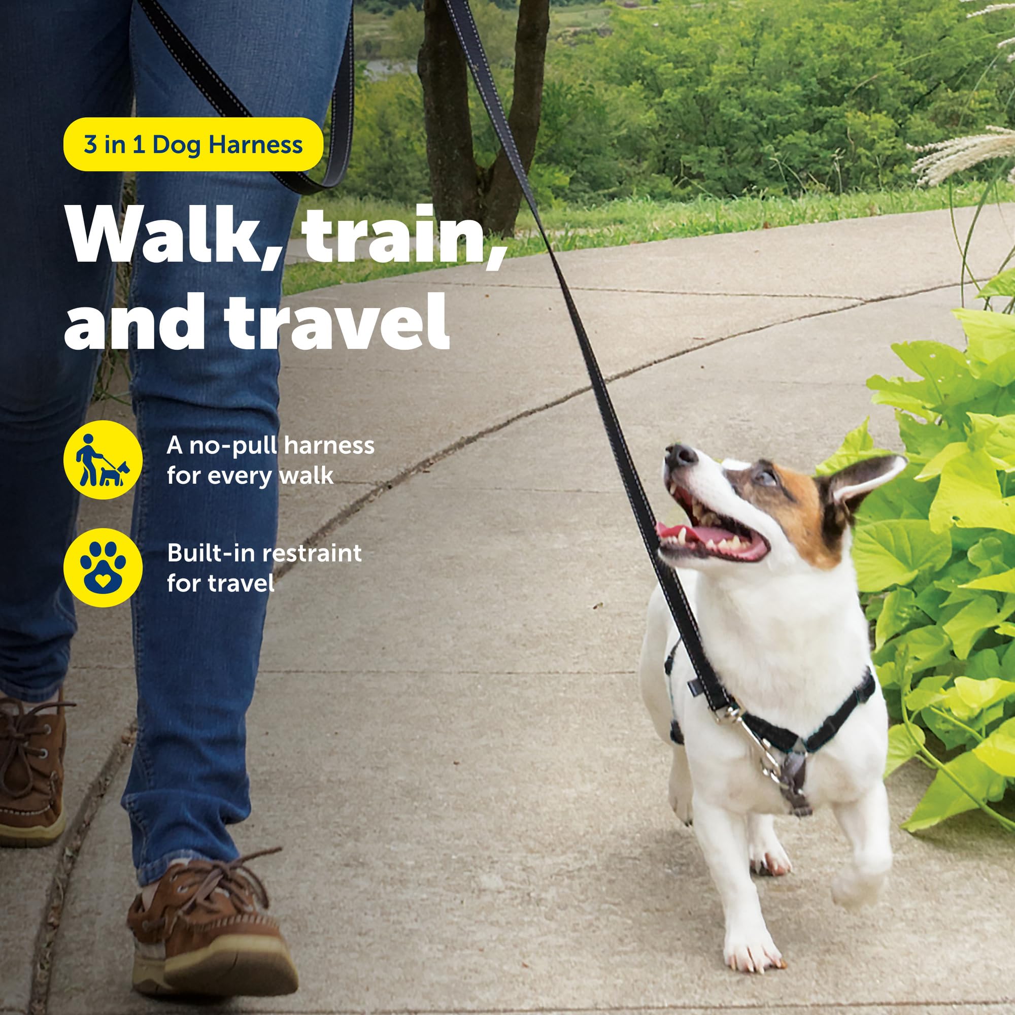 PetSafe enganche delantero de correa mejora el control durante paseos