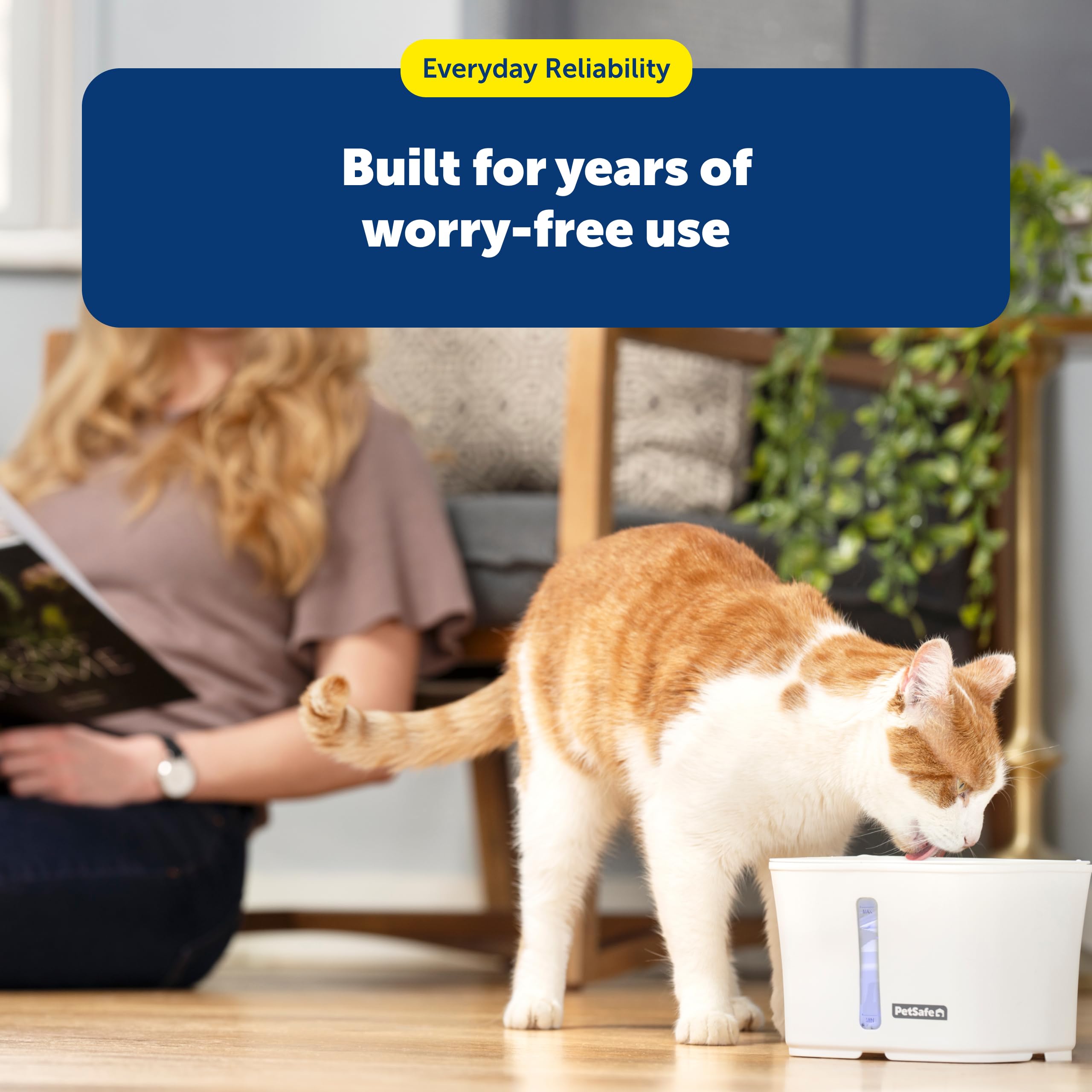 Filtros de espuma PetSafe duraderos para uso prolongado en fuentes