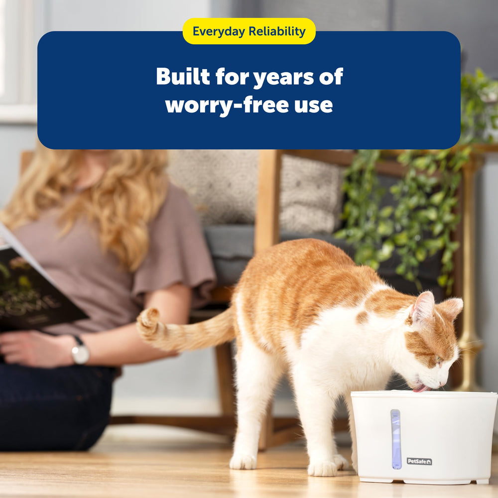 Filtros de espuma PetSafe duraderos para uso prolongado en fuentes