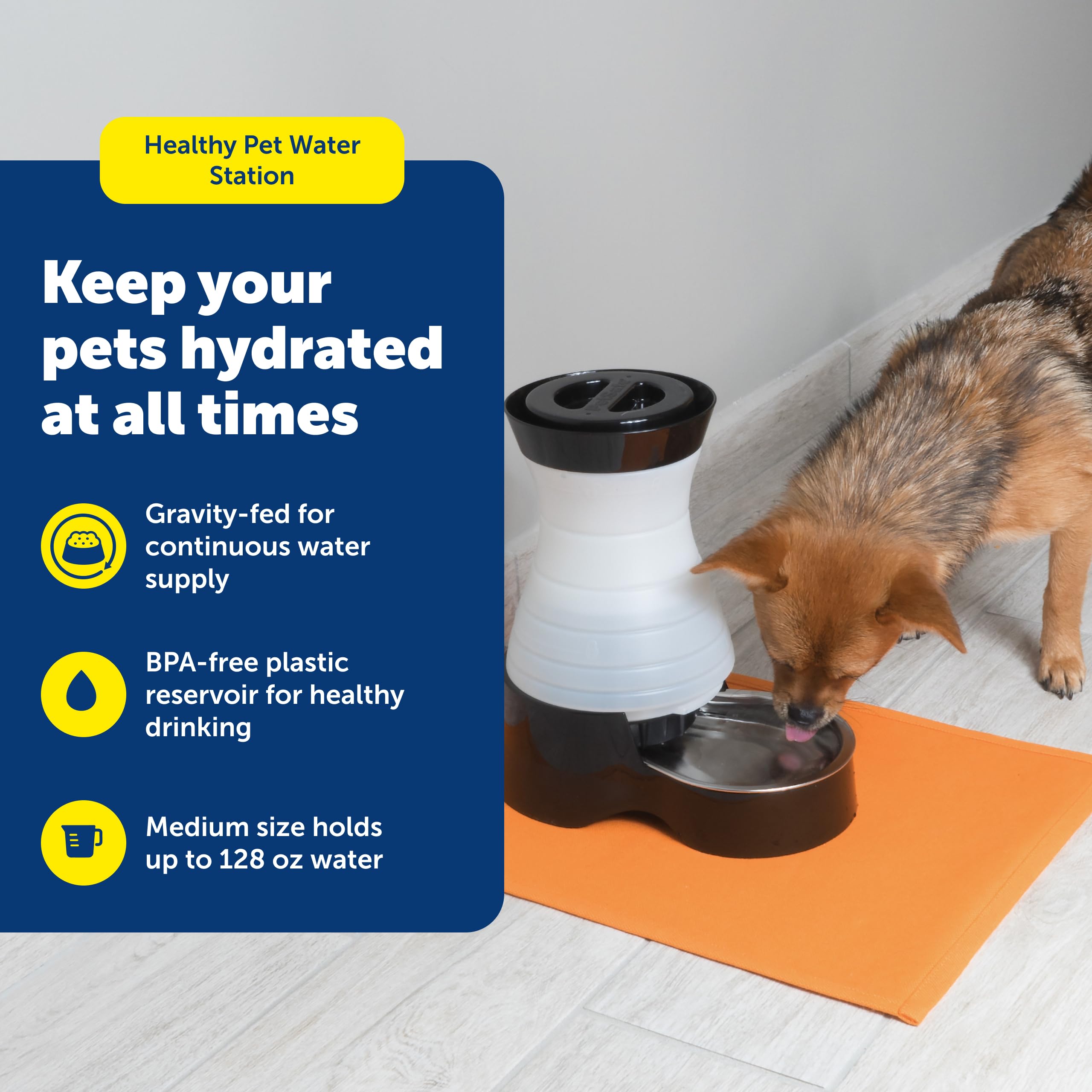 PetSafe Fuente por gravedad para gatos y perros en uso diario.