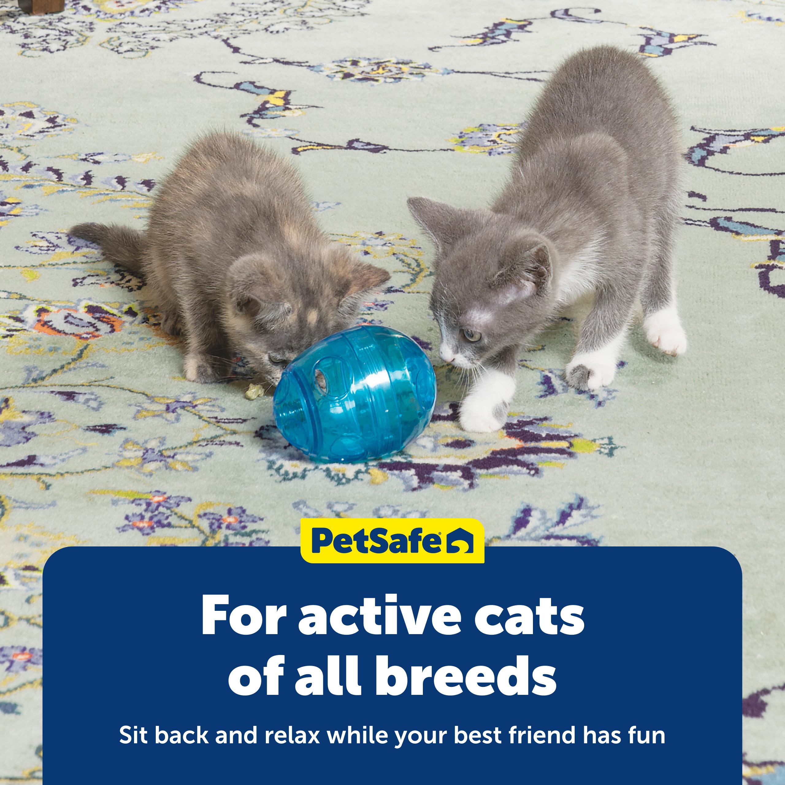 PetSafe FUNkitty Egg-Cersizer diseño duradero para años de uso
