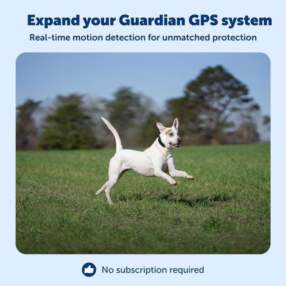 Collar PetSafe Guardian GPS: diseño impermeable y batería de larga duración para uso exterior.
