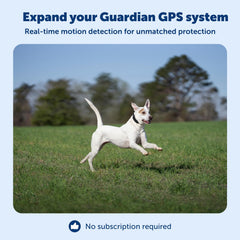 Collar PetSafe Guardian GPS: diseño impermeable y batería de larga duración para uso exterior.